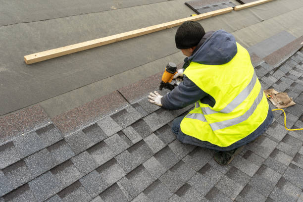 Best Roof Repair Services  in Tok, AK